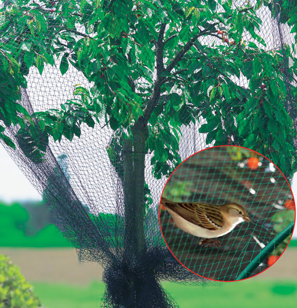 Мелкоячеистая сетка для защиты от птиц и грызунов